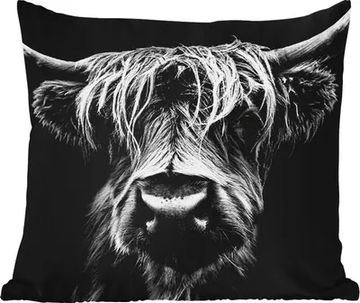Produktbild von MuchoWow® Outdoor Kissen - Schottisches Hochlandrind - Hörner - Schwarz - Weiß - Kuh - Wild - Tiere - 45x45 cm - Wetterfest - Lounge Kissen - Fotokissen - Dekoratives Kissen