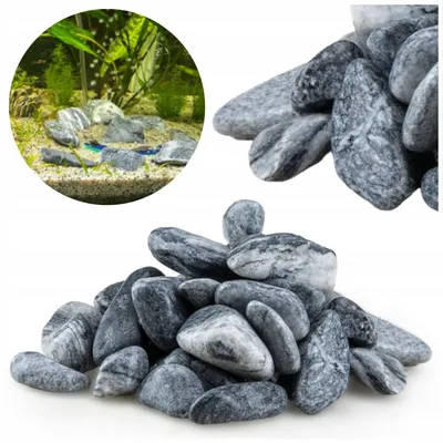 Immagine prodotto di Pietre per acquario Otoczak Zebra 1 kg, decorazioni naturali, sassi 1-3 cm per fondale e grotte