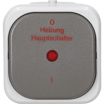 Obrázok produktu pre REV AquaTop hlavný vypínač vykurovania IP44 sivý, odolný proti vlhkosti, povrchová montáž