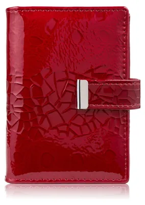 Produktbild von Rot lackiertes Leder-Kartenetui SP-15-RD