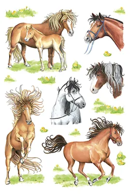 Produktbild von HERMA Sticker DECOR "Gezeichnete Pferde" 3 Blatt à 6 Sticker