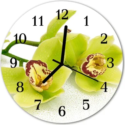 Produktbild von Glasuhr Wanduhr Küchenuhr Echt-Glas 30fi cm Orchidee grün