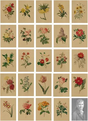 Produktbild von Postkarten 24 Stück, handgemalte Blumen, 14x10 cm, für Geburtstage und Dekoration