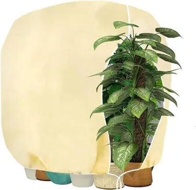 Zdjęcie produktu dla HERILIOS ochrona przed zimą rośliny ochrona przed mrozem drzewo palmy balkon 190x220cm beżowy