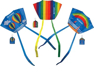 Immagine prodotto di SCHILDKRÖT 970405 SCHILDKRÖT aquilone tascabile Pocket Kite L