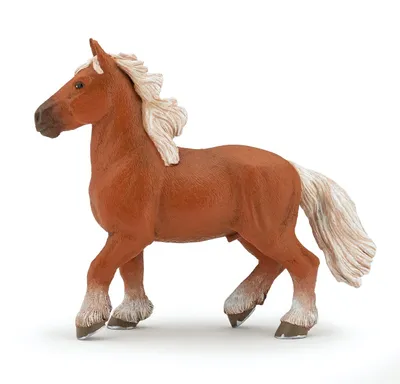 Immagine prodotto di Papo Cavalli Cavallo Comtois 51555