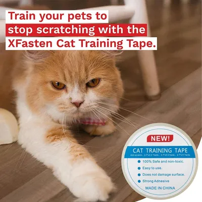 Produktbild von Kratzschutz-Trainingsband für Katzen — Schutz für Türen & Möbel — 2 Rollen einseitig klebender, transparenter Kratzschutzfolie (Geeignet für Sofas, Türen, Tische und diverse Möbelstücke)