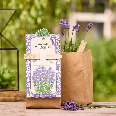 Produktbild von Die Stadtgärtner: -Minigarten Lavendel I Komplettes Anzuchtset mit -Saatgut & Gartenerde für bis zu 50 Pflanzen I Premium Kräuter-Samen & Anzuchterde I Pflanze deinen eigenen Kräutergarten