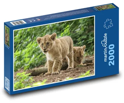 Obrázok produktu pre martinpuzzle - Puzzle 2000 - Lvícatá - mládatá