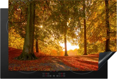 Produktbild von KitchenYeah© Herdabdeckplatte Herbst - Licht - Wald , 81x52cm, Küche Deko, Glaskeramikkochfeld Herdabdeckung, Abdeckplatte fùr Kochfeld