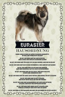 Image de vianmo Panneau en bois 18x12 cm Tiere Eurasier Hausordnung Hunde