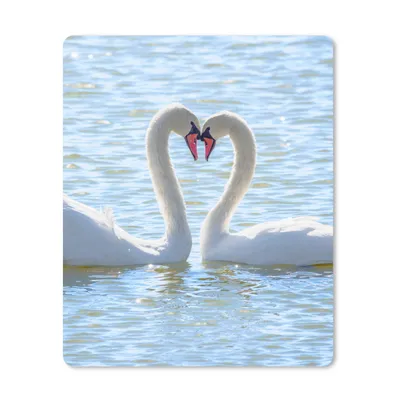 Produktbild von MuchoWow® Mauspad Mousepad Vögel - Schwan - Wasser - Liebe - Sonne 30x40 cm - Mousepads - Maus Mat - Pad - Mausunterlage - Mausmatten