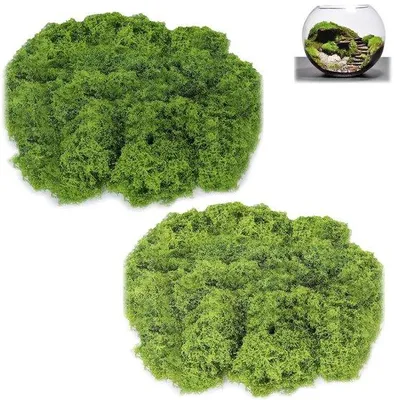 Image de Mousse artificielle 200 g vert foncé vert clair Décoration