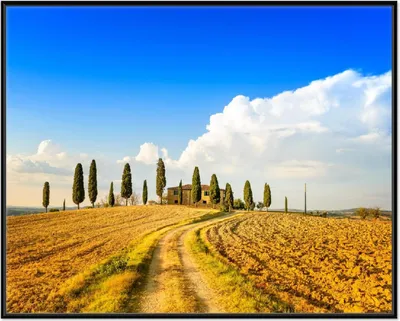 Produktbild von Wallario Wandbild Italien - Toskana unter blauem Himmel  einsame Farm, Größe: 40,30 x 50,30 cm, Poster mit schwarzem Aluminiumrahmen