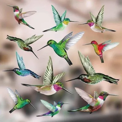 Produktbild von Schöne Vogel Raamstickers Vogelbeschutzung - Dekorative Fensterstickers Fensterdekoration Fensterbank