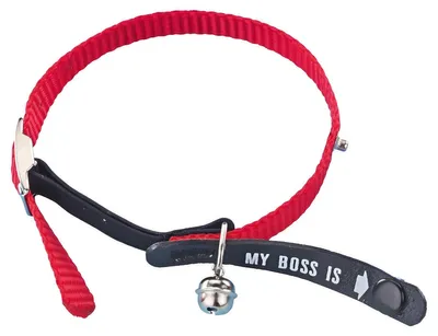 Produktbild von Nobby 78038-01, Katze, Standardkragen, Rot, Nylon, Einfarbig, 20 cm