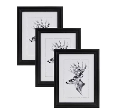 Produktbild von WOLTU 3er-Set Bilderrahmen Artos Stil Holz Rahmen Fotogalerie Glasscheibe, Schwarz, 13x18 cm