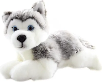 Image de Husky en peluche couché 23 cm - ECO-FRIENDLY