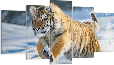 Produktbild von Bild auf Leinwand - Leinwandbild - tiger tier - 160x85cm - Wand Bild - Wanddeko - Wandbilder - Leinwanddruck - Bilder - Kunstdruck - Wanddekoration - Leinwand bilder - Wandkunst - EA160x85-3928