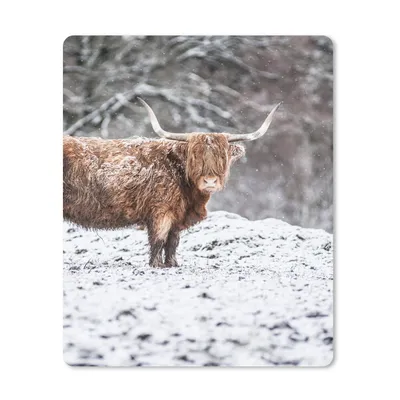 Produktbild von MuchoWow® Mauspad Mousepad Schottischer Highlander - Baum - Schnee 19x23 cm - Mousepads - Maus Mat - Pad - Mausunterlage - Mauspads - Spielen
