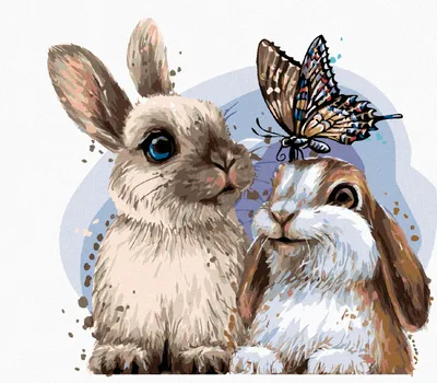 Produktbild von Zuty - Malen nach Zahlen - KANINCHEN UND SCHMETTERLING, 40x50 cm, ohne Keilrahmen