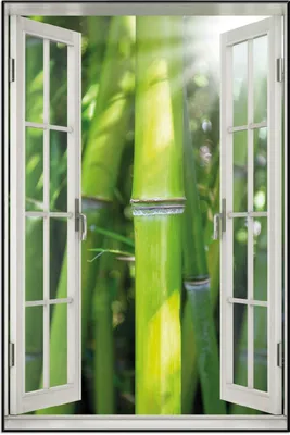 Produktbild von Wallario Wandbild mit Fenster-Illusion: Bambus im Sonnenschein, Größe: 61 x 91,5 cm, Poster mit schwarzem Aluminiumrahmen