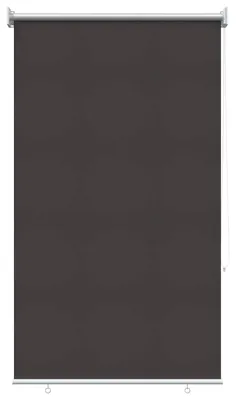 Produktbild von vidaXL Außen-Rollos mit UV-Schutz Anthrazit 65 x 140 cm (B x H)