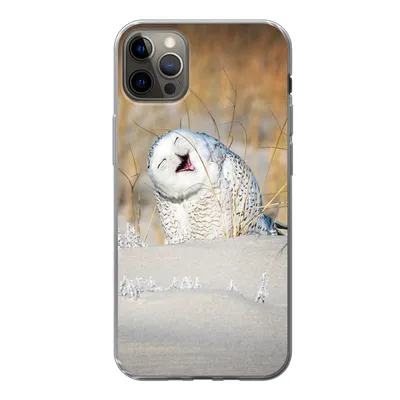 Produktbild von MuchoWow® Handyhülle Schutzhülle Hülle für iPhone 13 Pro Max Eule - Schnee - Düne Silikon Softcase Handy Hülle - Mobiltelefon