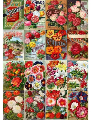 Produktbild von ENJOY Puzzle Vintage-Katalog mit Blumensamen, 1000 Stü ck