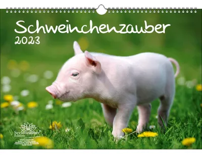 Schweinchen-Wandkalender 2023, A3, mehrfarbig