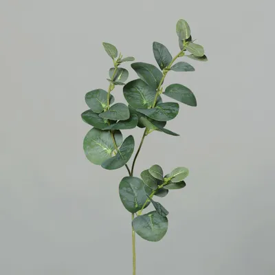 Produktbild von DPI künstlicher Zweig Eukalyptus grün 64 cm