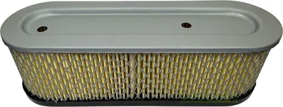 Immagine prodotto di Filtro aria per motore Briggs & Stratton 10-12 CV 280700 281700 / 399806 491519S