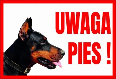 Zdjęcie produktu dla TUP-11 Tabliczka ostrzegawcza UWAGA PIES  DOBERMAN