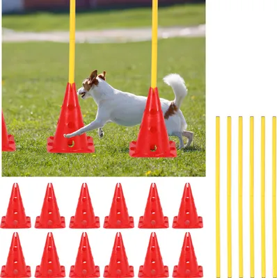 Image de TolleTour Set de 6 haies à enfoncer, entraînement de coordination pour l'entraînement de coordination, réglable en hauteur rouge Haies en plastique avec 12 cônes
