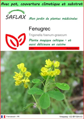 Image de SAFLAX Garden to go - Fenugrec - 100 graines - Trigonella