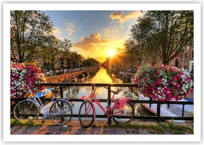 Produktbild von Poster - Poster ohne Rahmen - Bikes Kanal Amsterdam Architektur - 100x70 cm - Wand Bild - Wanddeko - Wandbilder - Kunstposter - Wandposter - Bilder - Kunstdruck - Wandbild - P2XAA100x70-3081