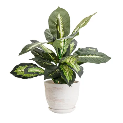Obrázek produktu pro Keramický květináč Kulatý s podšálkem světle šedá 25 cm lesk s drenážním otvorem
