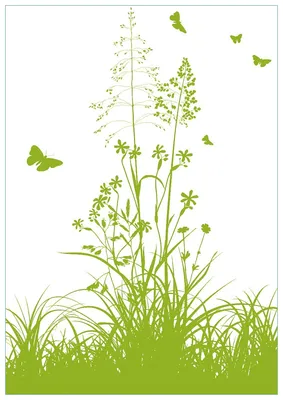 Produktbild von Wallario Premium Glasbild, freischwebende Optik, kräftige Farben, Größe 100 x 70 cm Motiv Grüne Sommerwiese