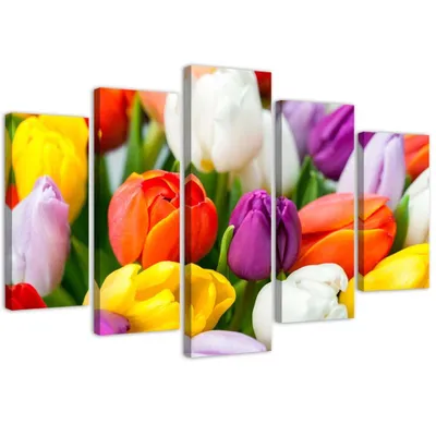 Produktbild von 5-teiliges leinwandbild bunte tulpen 150x100 cm Feeby farbe wandbild bereit zum aufhängen