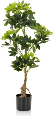 Obrázek produktu pro hjh OFFICE Umělá rostlina SCHEFFLERA Umělá rostlina arálie paprskovitá Výška 100,0 cm Deco