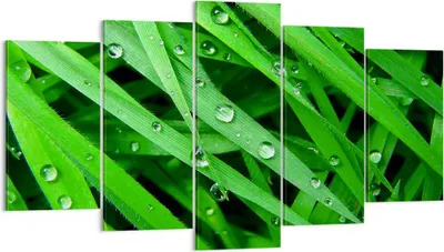 Produktbild von Bild auf Leinwand - Leinwandbild - Natur Gras Wasser Tropfen - 160x85cm - Wand Bild - Wanddeko - Leinwanddruck - Bilder - Kunstdruck - Wanddekoration - Leinwand bilder - Wandkunst - EA160x85-1562