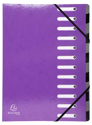 Imagen del producto de Carpeta de organización Iderama - 12 compartimentos, color violeta