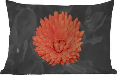 Produktbild von MuchoWow® Outdoor Kissen - Blumen - Orange - Schwarz - Weiß - 60x40 cm - Wetterfest - Lounge Kissen - Zierkissen - Kissen für Innenräume