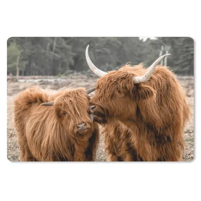 Produktbild von MuchoWow® Schreibtischunterlage Schottischer Highlander - Tiere - Wald 60x40 cm - XXL Mauspad - Großes Mauspad