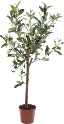 Produktbild von künstlicher Olivenbaum H. 65cm grün Emerald Zimmerpflanze Topfpflanze
