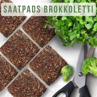 Produktbild von OraGarden Soil-MicroGreen Brokkoletti Saatpad Set im 6er