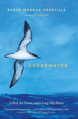 Image de Shearwater