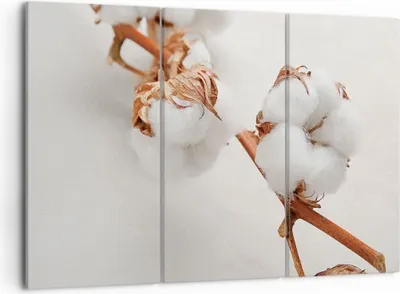 Produktbild von Bild auf Leinwand - Leinwandbild - 3 Teile - Baumwolle Makro Zweig - 105x70cm - Wand Bild - Wanddeko - Wandbilder - Leinwanddruck - Bilder - Wanddekoration - Leinwand bilder - Wandbild - CE105x70-4835