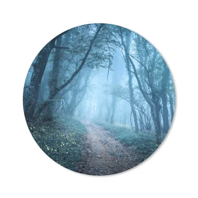Produktbild von MuchoWow® Mauspad Mousepad Bäume - Natur - Nebel 30x30 cm - Mousepads - Maus Mat - Pad - Mausunterlage - Tischunterlage - Schreibtischmatten