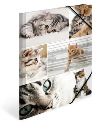 Produktbild von HERMA Sammelmappen A4 Katzen Set, 3 Stück, Kinder Eckspanner-Mappen aus Pappe mi